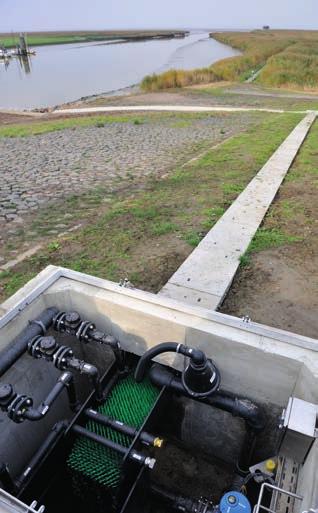 De aaldouche bij Nieuwe Statenzijl lokt glasaal naar een aalpassage. De glasalen klimmen vervolgens via een borstelbaan de dijk over.