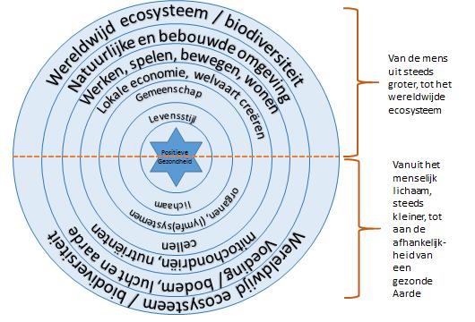 Concept model gezondheid en leefomgeving