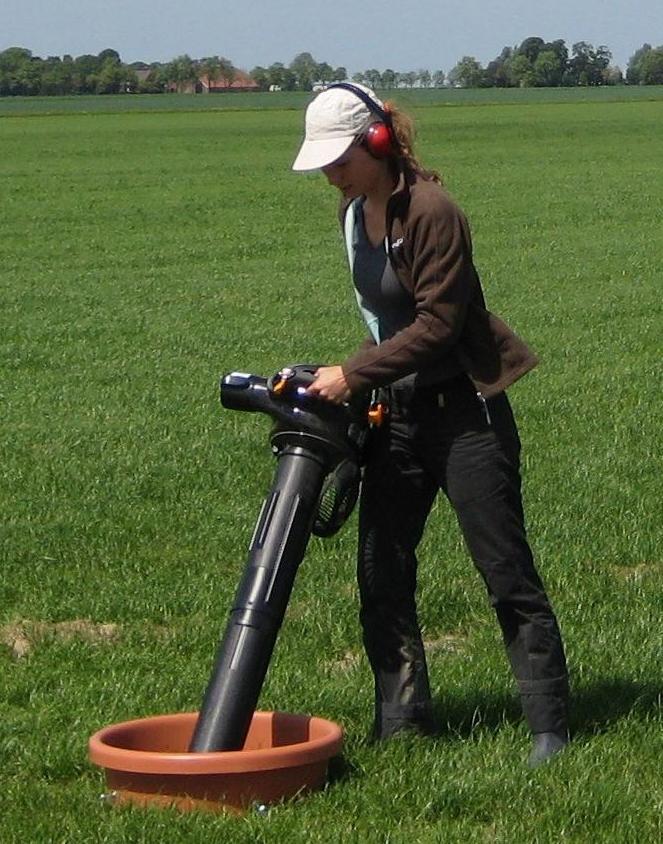 Veldleeuwerikenonderzoek Vanaf 2007 is het landbouwgebied in de omgeving van Ganzedijk in Oost-Groningen intensief gemonitord op broedvogels.