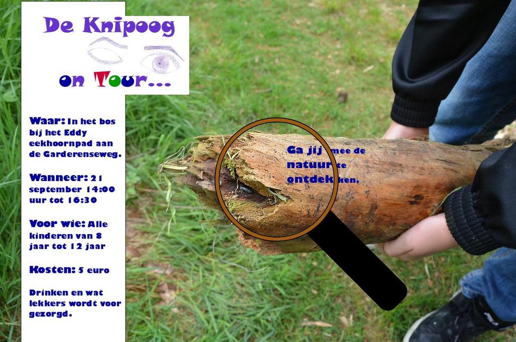 Wil jij met De Knipoog on Tour op pad om de natuur te ontdekken schrijf je dan in via de mail info@kindercoachingdeknipoog.nl met je naam en leeftijd.