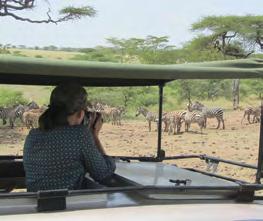 Dit indrukwekkende park is bij uitstek de plek om wild te spotten. De rit naar de accommodatie is één lange safari! U overnacht de komende twee nachten in het geweldige Mbuzi Mawe tented camp.