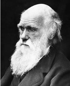 Darwin Bekijk de onderstaande video: Darwin heeft dus de evolutietheorie bedacht en deze ruim 150 jaar geleden gepubliceerd door er een boek over te schrijven.
