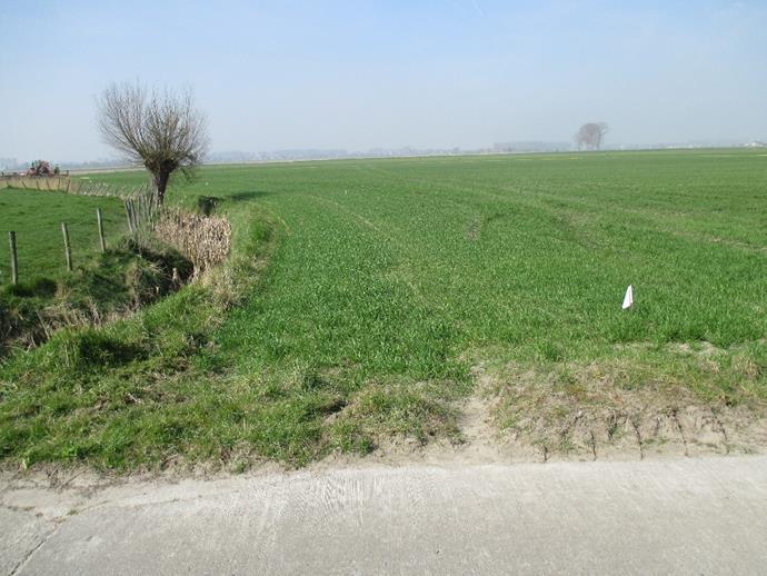 Foto 5: Landbouwer heeft de 5 meter-grens aangeduid met een