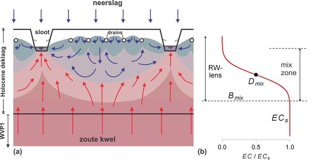 mechanisme van wellen en daardoor het zoutgehalte van wellen bepalen, zijn: (i) de afvoer van een wel, (ii) horizontale doorlatendheid van het watervoerend pakket, en (iii) de zoutverdeling (=