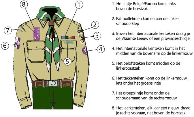 6) Het uniform Het uniform van een jonggiver bestaat uit: - Een korte groene broek - Een beige scoutshemd met de insignes op de juiste plaats Het uniform wordt op elke vergadering gedragen.
