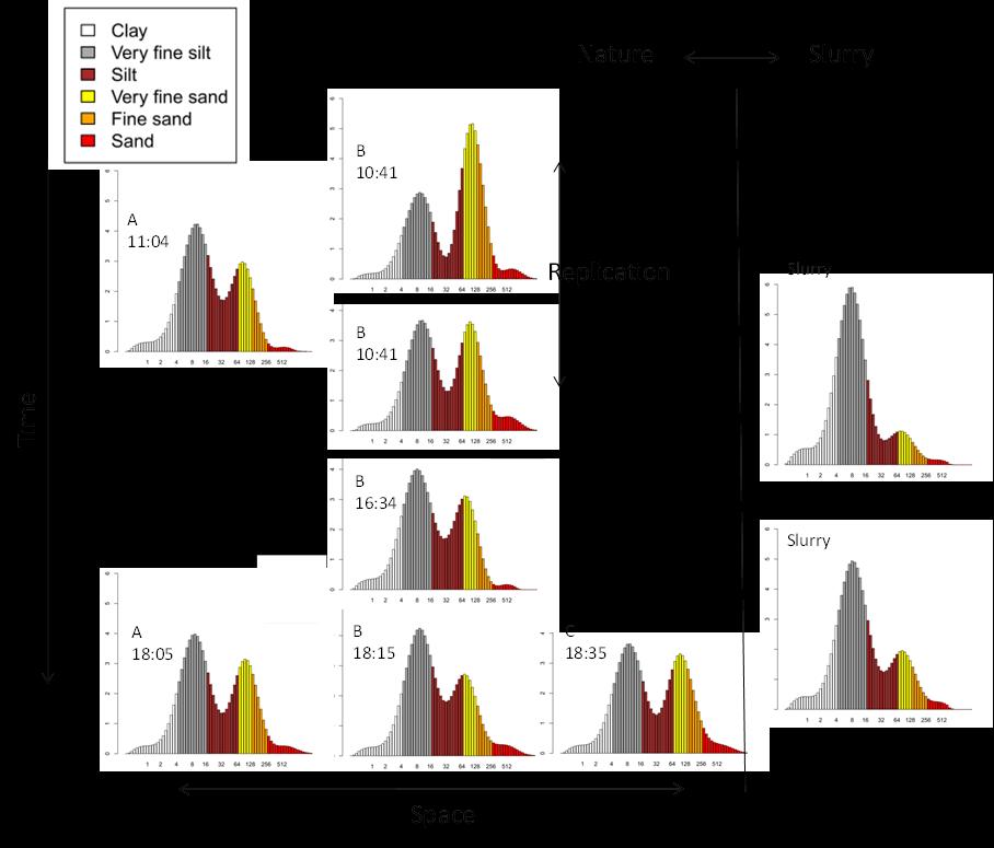 Figuur 4.2 Overzicht van de korrelgrootteverdelingen van de monsters, met aanduiding van de ruimtelijke en temporele variatie tussen monsterpunten en monstertijdstippen.