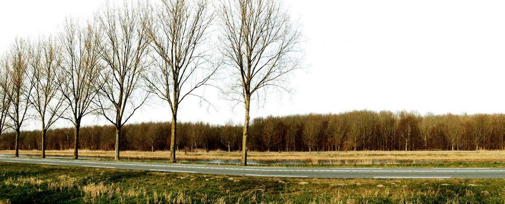 OPBOUW EN MATERIALISERING VAN DE VISWEERBRUG De Groene Kathedraal behoudt zijn vrije, monumentale ligging en daarmee de zichtbaarheid vanuit alle richtingen.