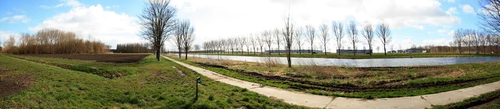 KATHEDRALENBOS ca 200 mtr MUSEUMBOS alternatieve scenario s bij het benaderen en verlaten van de brug vanuit het noorden vanaf de Kathedralenplaats en