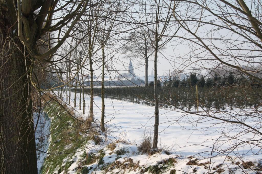 Start : Duin en Zee, Fortstraat 128, Oostende. Zaterdag 23 februari 2013 : 24 ste Bibbertocht Ingericht door onze eigen wandelclub Rustige Bosstappers. Afstanden : 4-7-13-21-30 km (van 7u30 tot 15u).