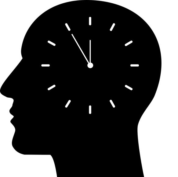 Biologische klok in de hersenen Onze lichaamsfuncties hebben een ritme, bijv.