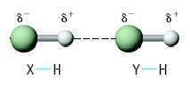 H-brugbinding 18 dipool dipool : sterk elektronegatief sterk elektronegatief types H-brugbinding [X-H