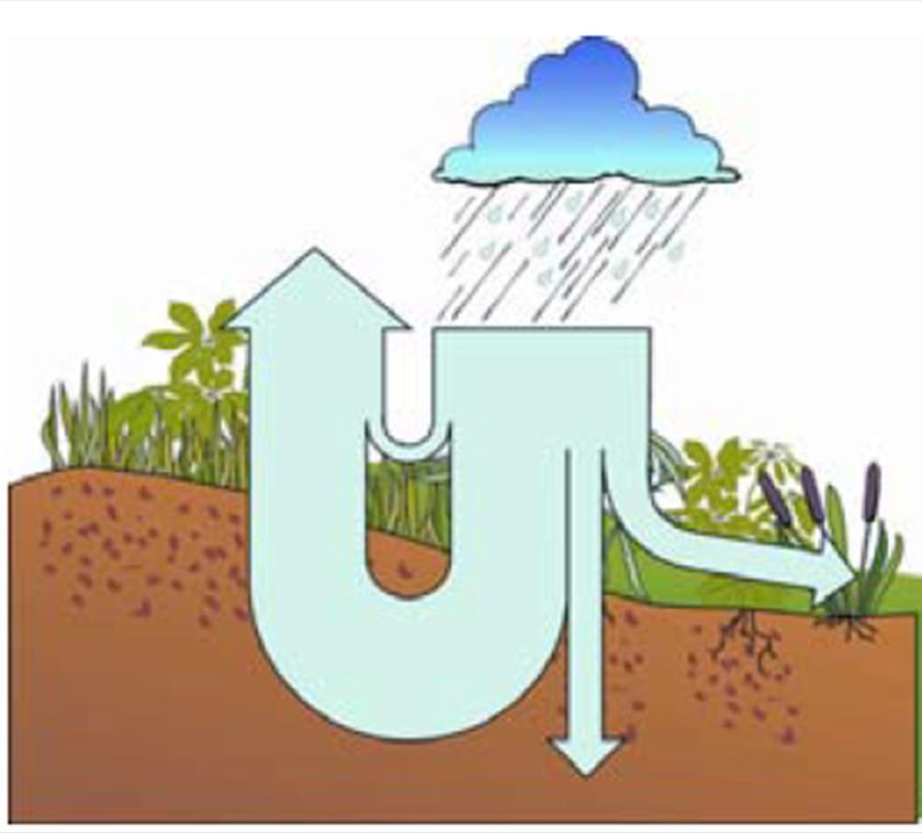 Leefmilieu Brussel Duurzaam verbeterde cyclus van het hemelwater in de stedelijke omgeving: de aanleg van