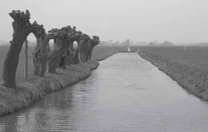 Nog nooit was een polder zo naar Nederland, met de oude Romeinse architect ver doorontworpen vanuit het ideaal van mense- Vitruvius als belangrijkste inspiratiebron voor de lijke beheersing van