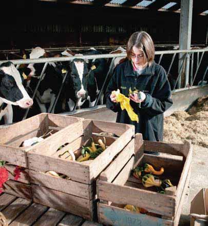 STERK MERK De simpele vraag hoeveel zorgboerderijen er eigenlijk zijn, vergt een ingewikkeld antwoord.