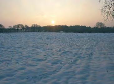 De samenstelling van de plattelandsbevolking verandert: er wonen steeds minder jongeren en steeds meer ouderen en het aantal bewoners loopt terug.