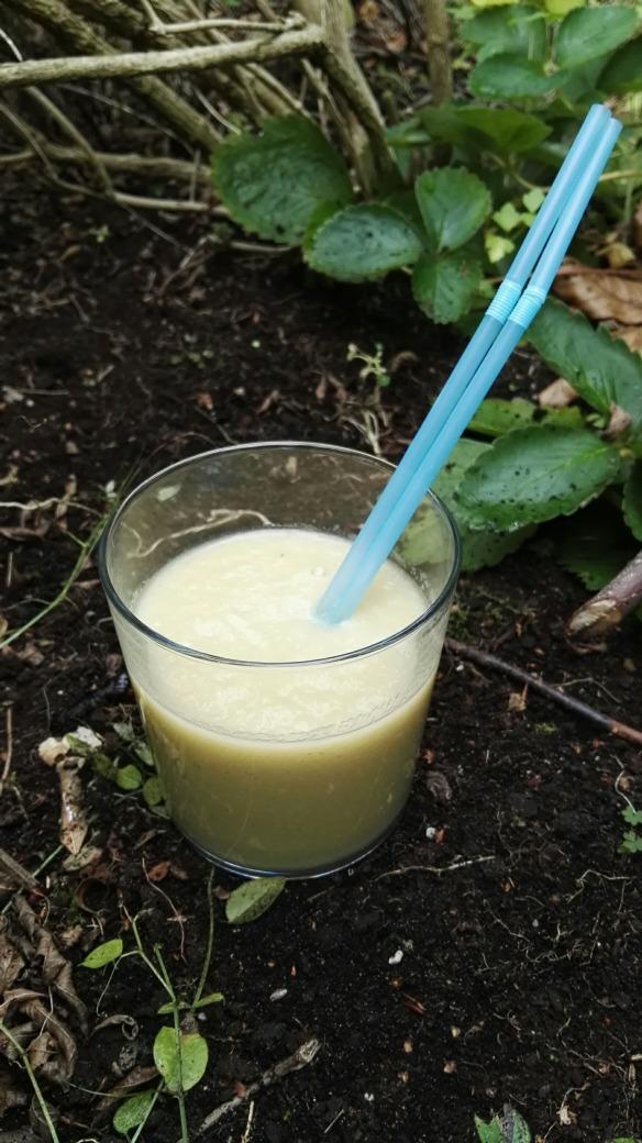 witte smoothie 1 witlof ½ venkel 1 banaan 250 ml. plantaardige melk 1 snuf kaneel Veel mensen houden niet van witlof vanwege de bittere smaak.