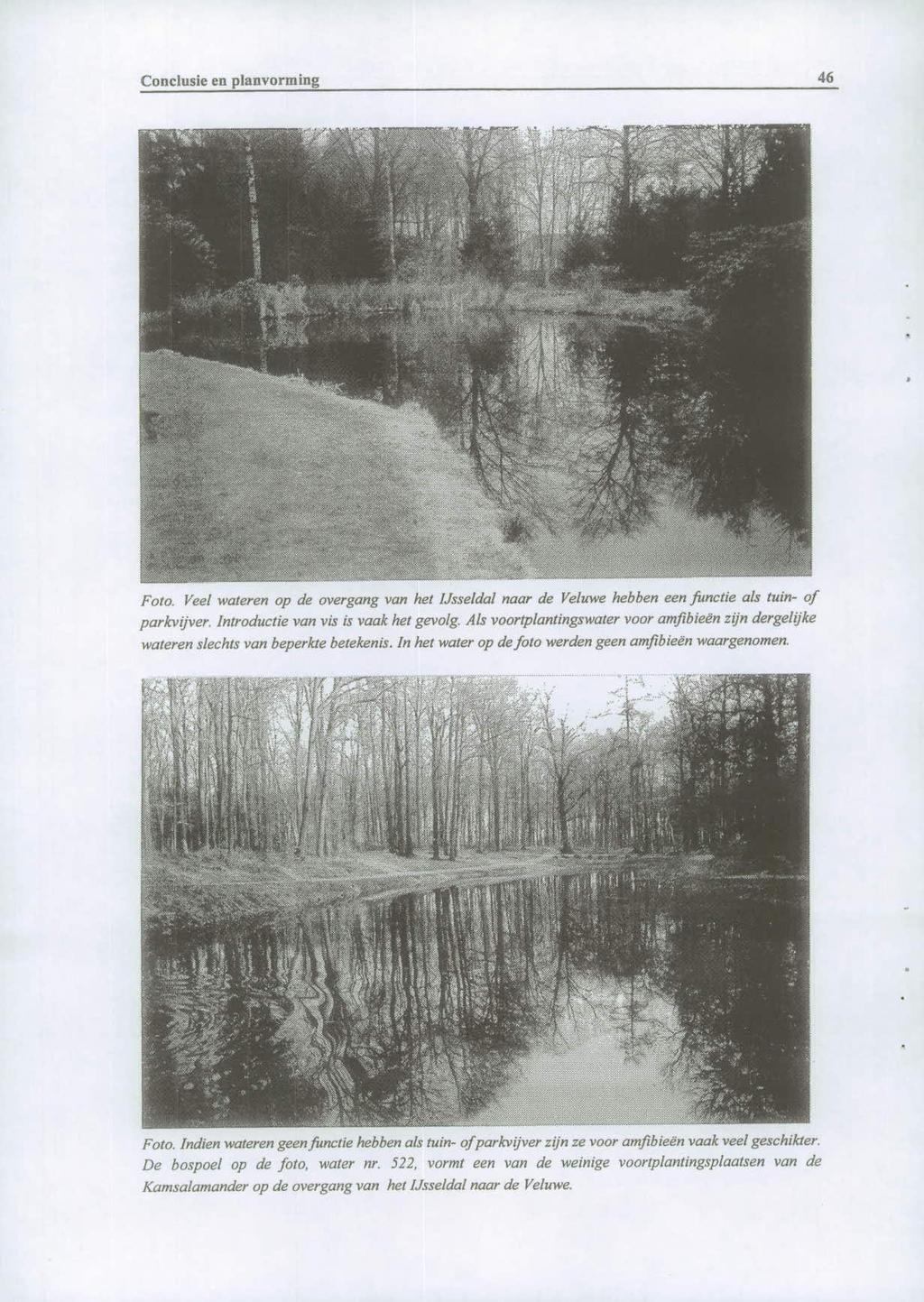 Conclusie en planvorming 46 Foto. Veel wateren op de overgang van het lisse/dal naar de Veluwe hebben een functie als tuin of parkvijver. Introductie van vis is vaak het gevolg.