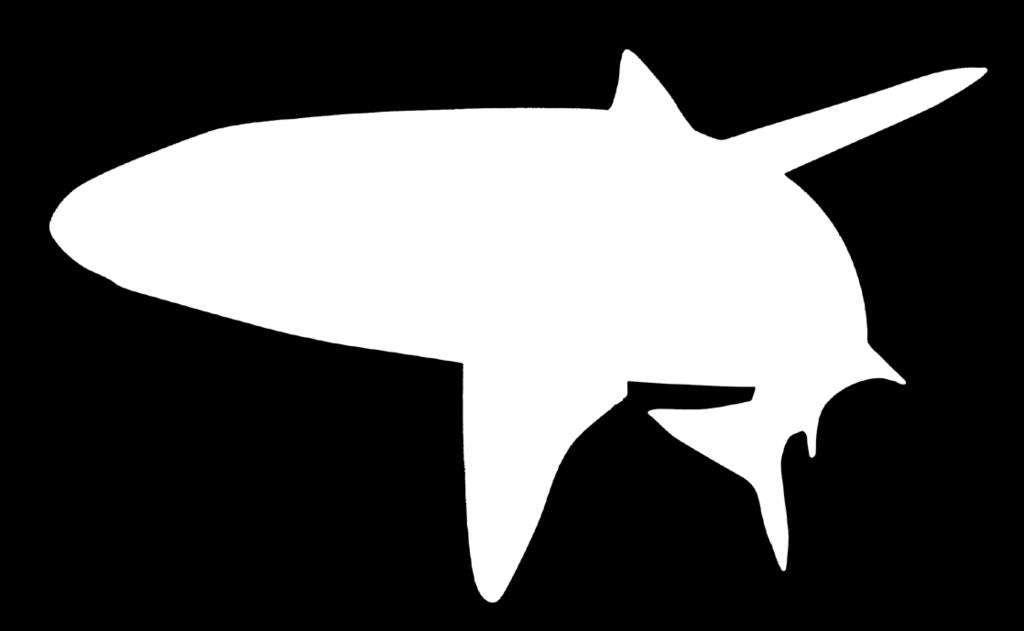 Anders dan beenvissen hebben haaien namelijk geen met gas gevulde zwemblaas. huid De huid van een haai is zo ruw als schuurpapier.