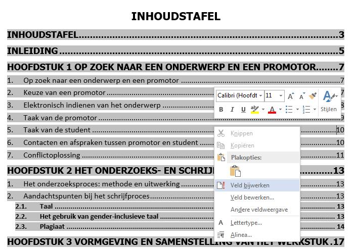 15 Er verschijnt een automatische inhoudstafel. Als je wijzigingen hebt aangebracht in je document, moet je de inhoudsopgave natuurlijk aanpassen.