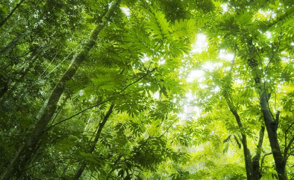 Milieuvriendelijk De productie-eenheid in Zonhoven grenst aan een natuurgebied van Midden-Limburg (2.500 ha). Radson ontplooit zich op harmonieuze manier in de buurt van dit natuurgebied.