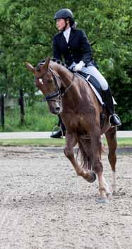 Animal Paardenhouderij Duur BOL/BBL Toelatingseisen Beschrijving van de opleiding Mercedes - Paardenhouderij: Ik droom al sinds de basisschool om iets met paarden te doen.