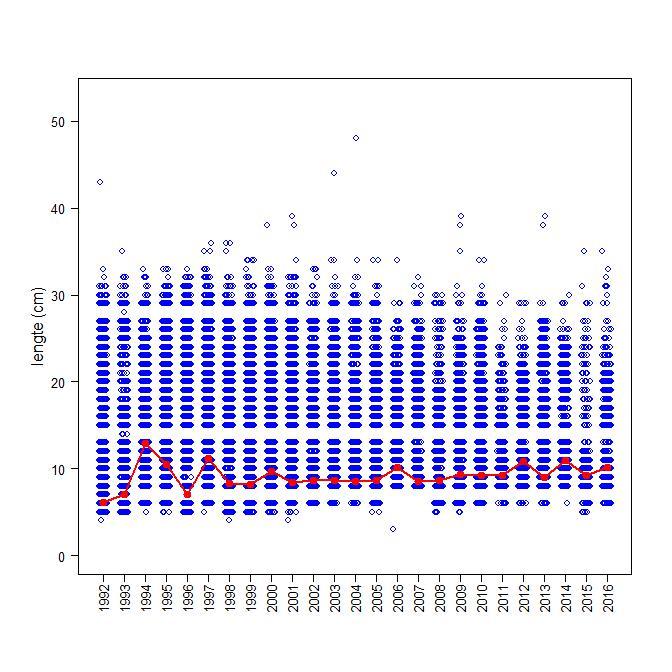 Figuur 3.2 Plot van de lengtes van alle baarzen (blauwe cirkels) gevangen in de openwatersurvey met kuil/boomkor/elektrokor door de jaren heen. Rode lijn = de gemiddelde lengte per jaar.