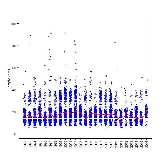 (a) (b) Figuur 4.1 Survey-index voor snoekbaars, boven (a) voor het gehele bestand, en beneden (b) voor het paaibestand. Trend voor het IJsselmeer en Markermeer gecombineerd.