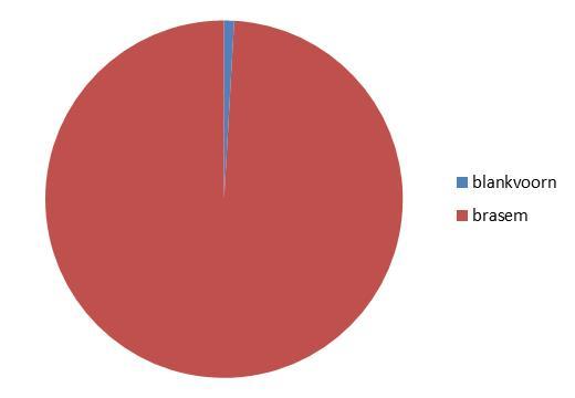 gerapporteerd in de logboeken dan in de PO-aanlandingsregistratie, en blankvoorn is 52% meer gerapporteerd.