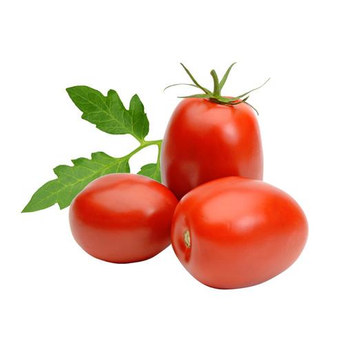 Uniforme, stevige, ronde tomaat Gewicht
