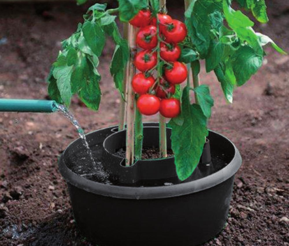 6 VERZORGING Twee dingen zijn erg belangrijk voor je tomatenplanten: voldoende verluchting en voldoende water. Verluchting krijg je door de planten niet te dicht bij elkaar te zetten.