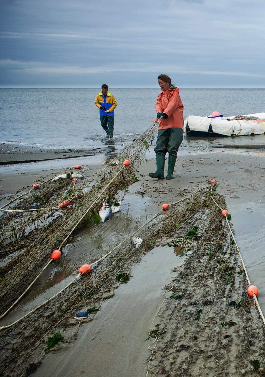 Voorwaarden activiteiten in beheerplan Waddenzee Voorbeelden van Nb-wet vergunningplichtige activiteiten, onder voorwaarden vrijgesteld in beheerplan: