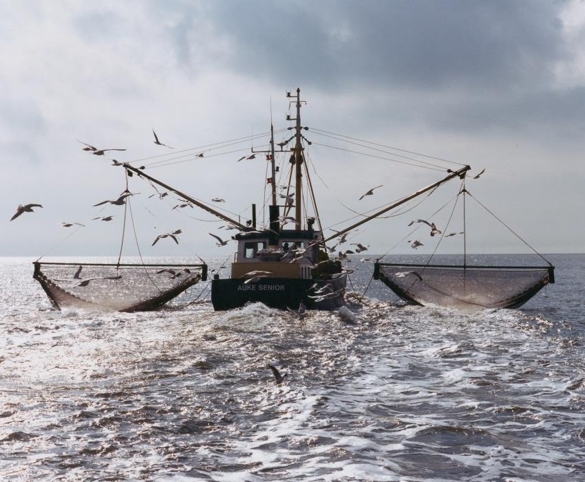 Zeebodem (geulen en permanent water) Mosselzaadvisserij Vergunningen in lijn met Mosselconvenant + Evaluatie 2014 Afbouw visserij vanaf bodem; gefaseerd sluiten visgebieden Garnalenvisserij