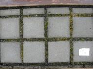 GESLOTEN straatlaag (kalksteen /,) Vervuilde voegvulling Zuivere