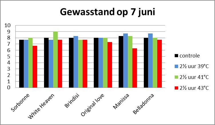 4.1.2 Effect temperatuur op cultivars Begin april werden de bollen van de verschillende cultivars uit de diverse leliegroepen geplant. In de eerste week van mei kwam het gewas boven de grond.