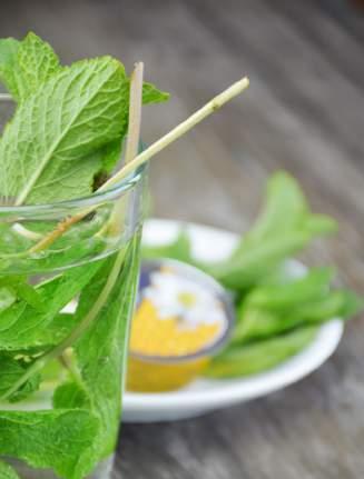 70 Green Lemon Sencha is een gestoomde, niet-geoxideerde thee die gemelangeerd is met citroenschil, citroengras en een natuurlijk citroenaroma Forest Fruit 2.