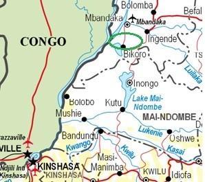 Investeer in de strijd tegen ondervoeding in de D.R. Congo De introductie van Spirulina, een cyanobacterie rijk aan micronutriënten, als voedingssupplement.