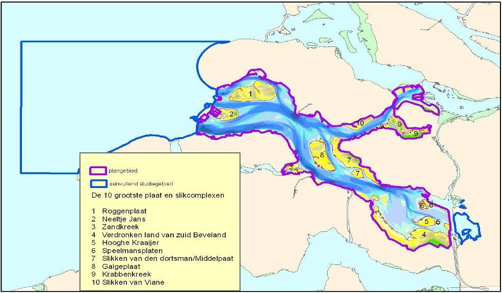 Schorren geen onderdeel MIRT verkenning Voor schorren in de Oosterschelde zijn al maatregelen genomen om de erosie te beperken.