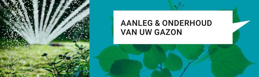 Snoeien doet u het beste tijdens de rustperiode van de plant. Voor bladverliezende struiken is dit meestal vroeg in het voorjaar of laat in het najaar. Snoeien tijdens vorst is niet aan te bevelen.