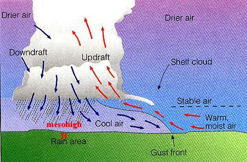 Structuur van meercellig onweer Wind bepaalt de structuur en organisatie van
