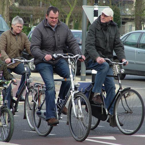 Onder de vlag van Ons Brabant Fietst werkt de Provincie Noord-Brabant samen met de regio, de 5 grote steden en een keur aan organisaties aan professionele fietsmarketing en fietscommunicatie.