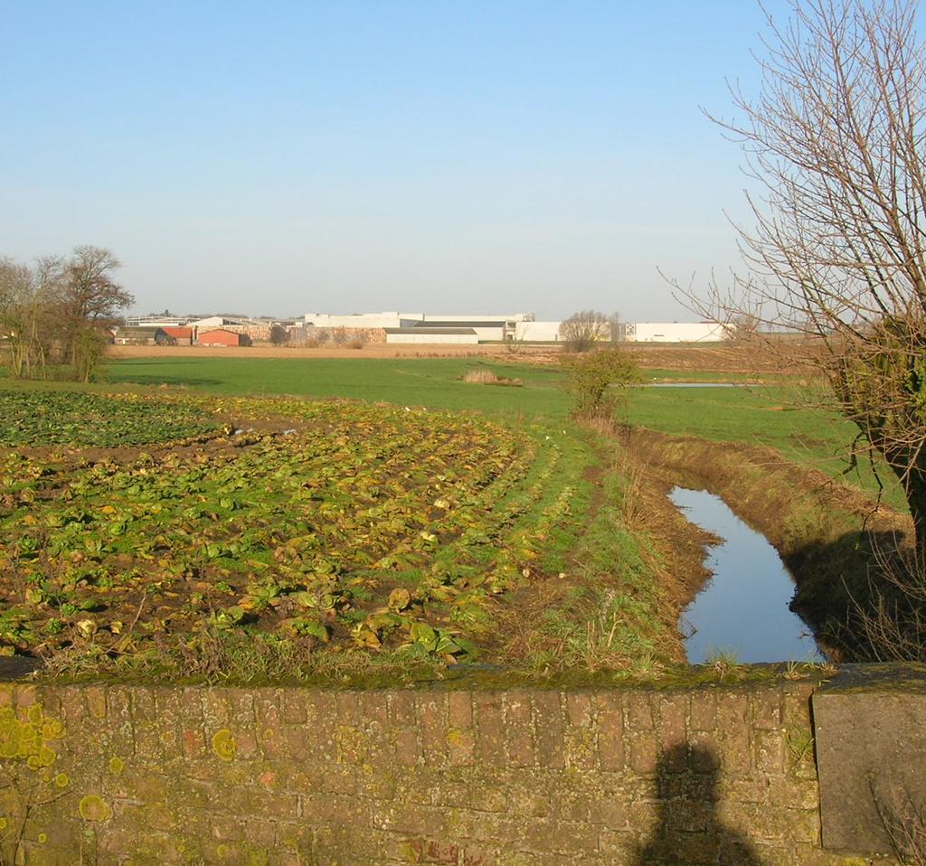 Vlaanderen is milieu Nutriënten in oppervlaktewater in landbouwgebied