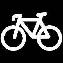 Recreatieve fietsers in Noord-Brabant fietsen vooral op een elektrische of gewone fiets.. Type fiets recreatieve fietstocht elektrische fiets 32% 32%.