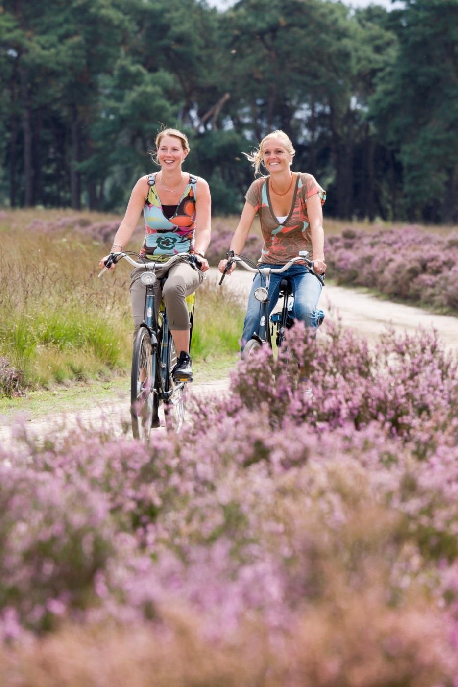 Het recreatief fietsen in de provincie Noord-Brabant wordt met een 8,1 beoordeeld.