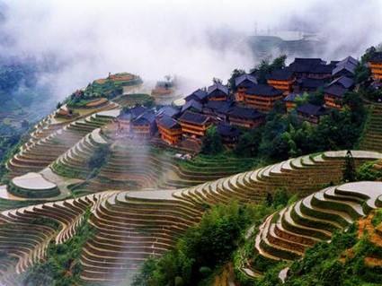 Dit Zhuang dorp leeft van de rijstteelt op terrassen die ze gedurende honderden jaren uit de bergwanden hakten. Het is een weelderig zicht.