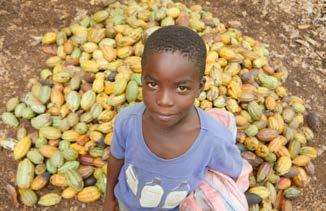 4. Verhalen van Kinderen Wij stellen aan je voor.. Trésor CACAO: Van de plantages terug de klas in! Ivoorkust is de grootste producent van cacao ter wereld.