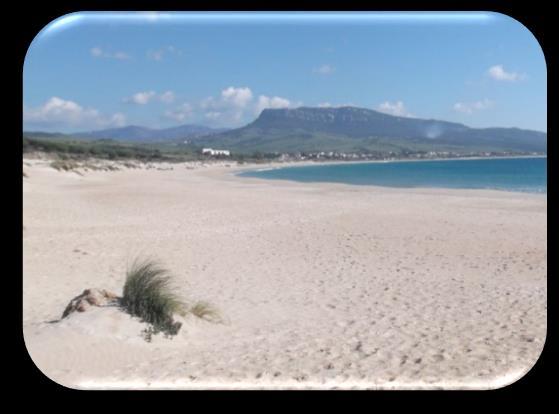 Dit natuurpark is gelegen aan de kust, in een netwerk van stromen en verbindingen tussen de continenten van Afrika en Europa.