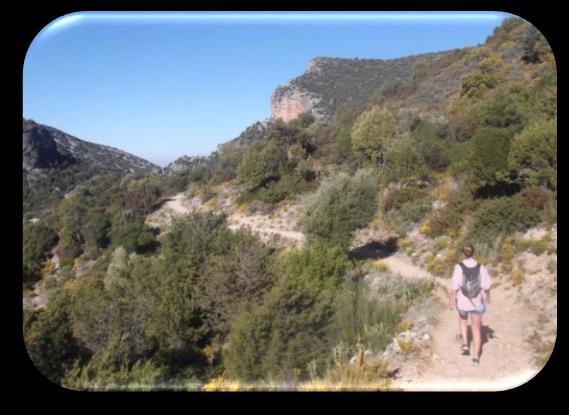 Dag 26 We verlaten Granada en spenderen de laatste dagen van de camperreis aan de kust.