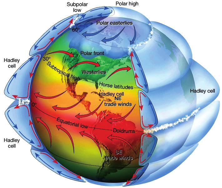 In de herfst 2015 was het water al warmer dan tijdens de beruchte El Niño van 1997-1998, die de zwaarste van de vorige eeuw was.