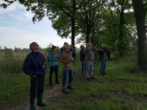 De vereniging voert al een paar jaar campagne tegen het houden van roofvogels en uilen in gevangenschap en tegen alle publieke activiteiten waarbij roofvogels en uilen worden opgevoerd.