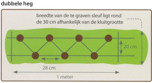 BEPLANTINGSLIJST aantal latijnse naam nederlandse naam maat klwrt/drkl 34 Salix alba schietwilgwilg 14-16 klwrt tbv. Landschappelijke inpassing. 14 Salix alba schietwilgwilg 14-16 klwrt tbv.